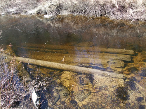 Underwater logs clogging Potter Creek.