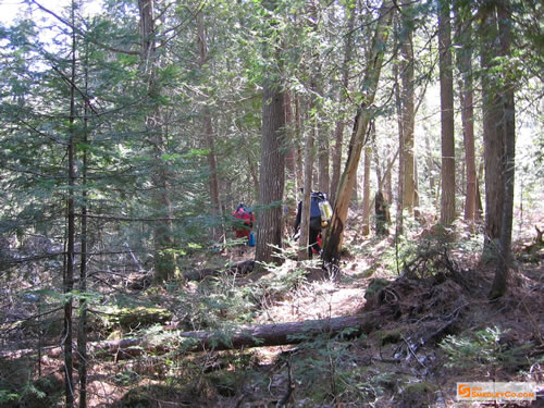 Walking the improvised portage.