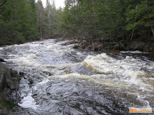 Noiser section of the Bonnechere River.