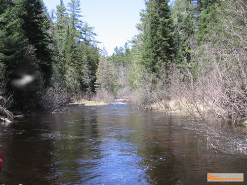 Calmer Bonnechere River.