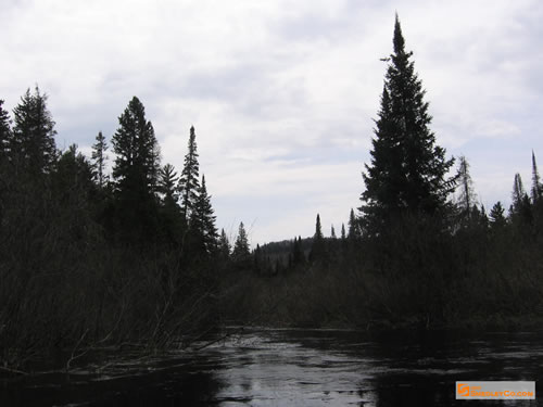 River scenery.