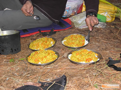 David's Curry Chicken dinner.