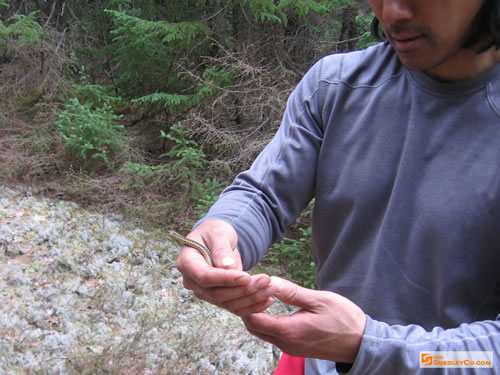 David found some wildlife.