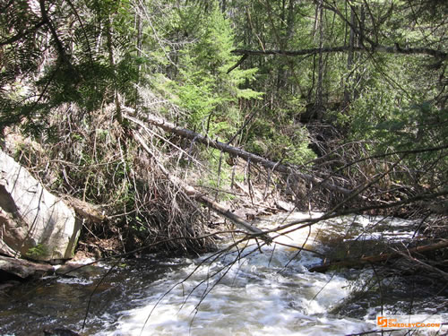 Difficult section of the Bonnechere River.