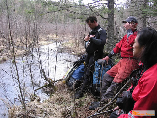 Back to paddling at an alder choked put in.