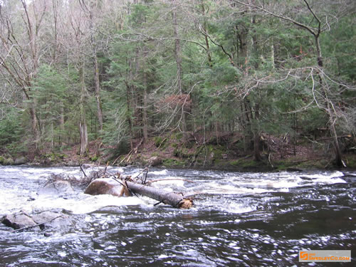 The running Bonnechere River.