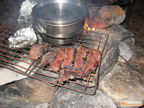 Venison cooking over the fire.