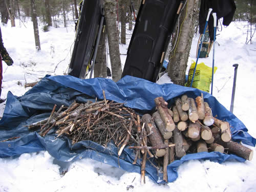 A start to the wood pile.