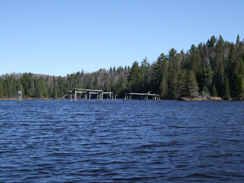 What's left of a bridge from the logging days.