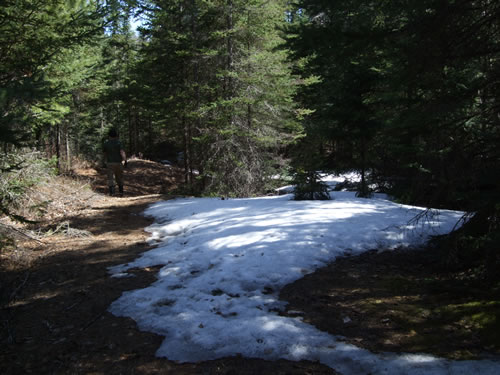 Still places with leftover snow on the ground.