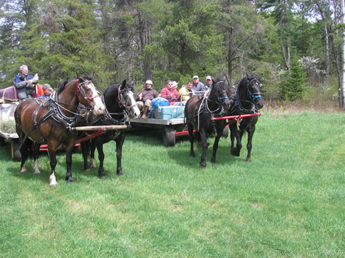 Our arrival at the meadow.