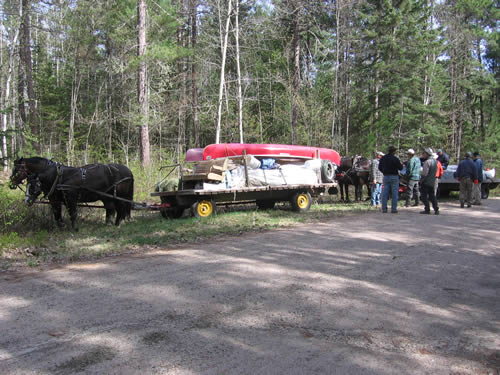 Resting horses on way to White P.